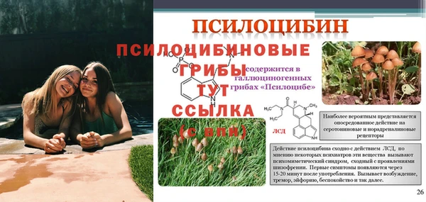 прущая мука Иннополис