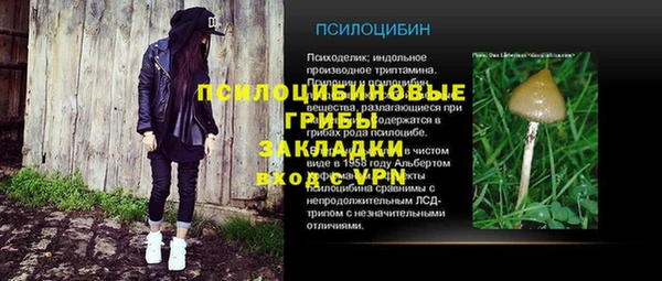 ешки Зерноград