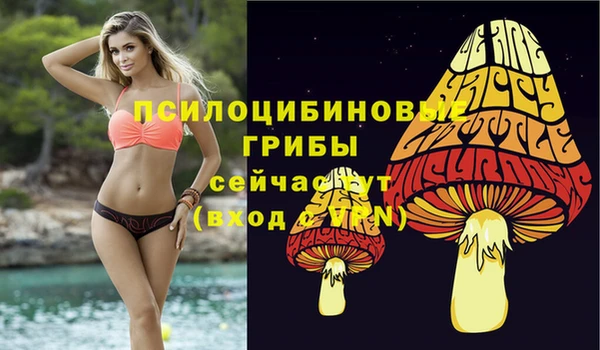 прущие крисы Инсар