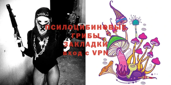 прущие крисы Инсар