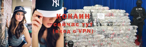 крисы Зеленокумск