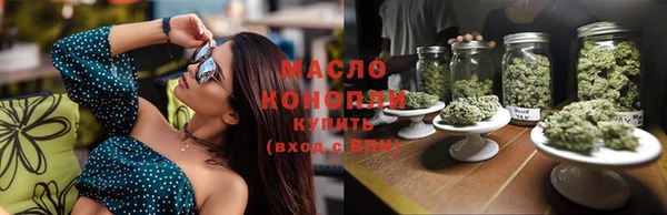 mix Инта