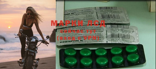 mix Инта