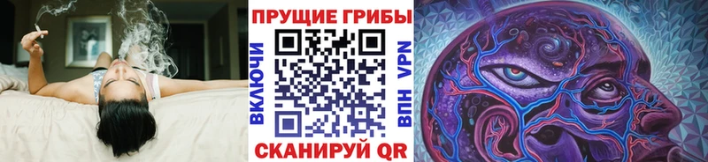 Галлюциногенные грибы Psilocybe Вельск